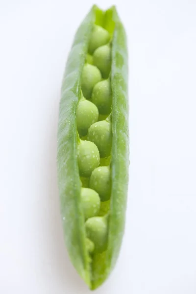 豌豆荚 — 图库照片