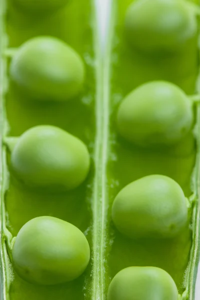 豌豆荚 — 图库照片