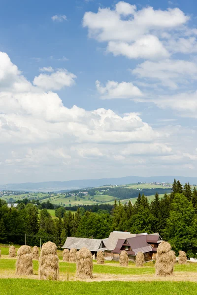 Пейзаж Татр вблизи Закопане, Польша — стоковое фото