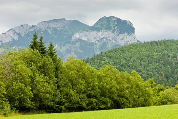 Belianske Tatry (Belianske Tatras), Slovakien — Stockfoto