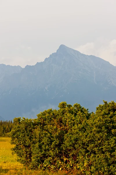 Krivan, Vysoke Tatry (Alti Tatra), Slovacchia — Foto Stock