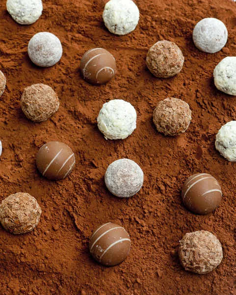 Cukierki-pralinki w kakao — Zdjęcie stockowe