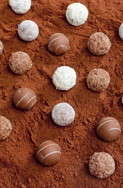 Pralines in cocoa — Stock Photo, Image
