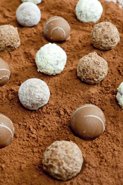 Пралінові цукерки у какао — стокове фото