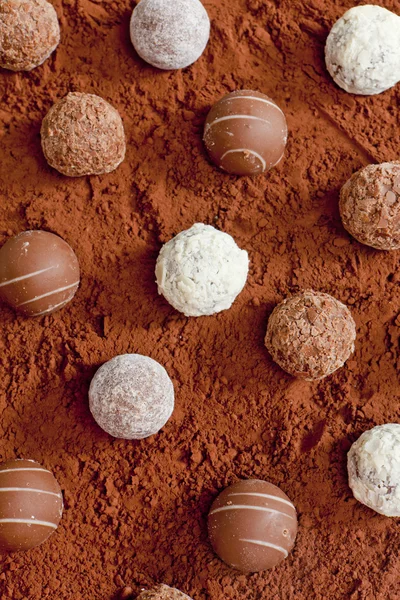 Пралінові цукерки у какао — стокове фото