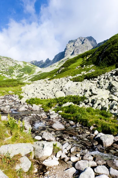 Gran Valle Frío, Vysoke Tatry (High Tatras), Eslovaquia —  Fotos de Stock