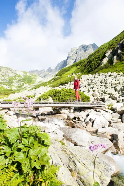 stock image Woman backpacker in Great Cold Valley, Vysoke Tatry (High Tatras