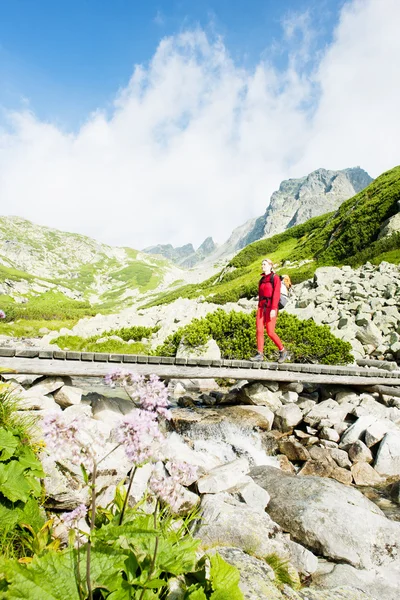 Zaino in spalla donna nella Grande Valle Fredda, Vysoke Tatry (Alti Tatra — Foto Stock