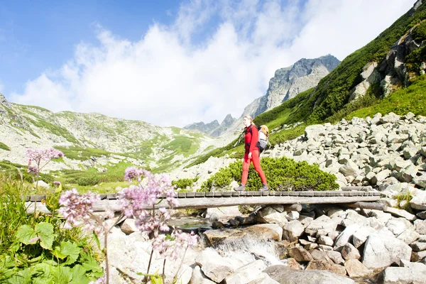 Woman backpacker in Great Cold Valley, Vysoke Tatry (High Tatras — Stock Photo, Image