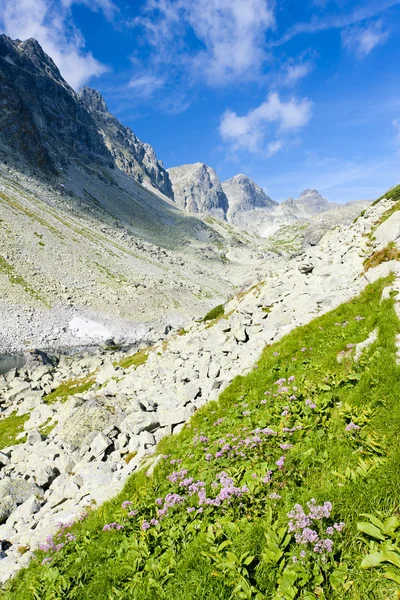 Vallei onder geheimen, vysoke tatry (Hoge Tatra), Slowakije — Stockfoto