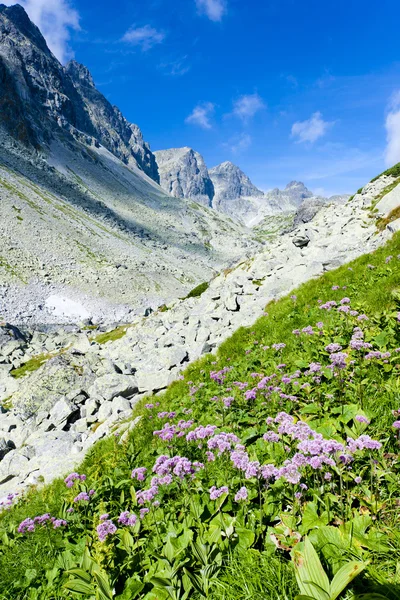 Valle sotto Prielom, Vysoke Tatry (Alti Tatra), Slovacchia — Foto Stock