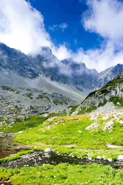 Vallei onder geheimen, vysoke tatry (Hoge Tatra), Slowakije — Stockfoto