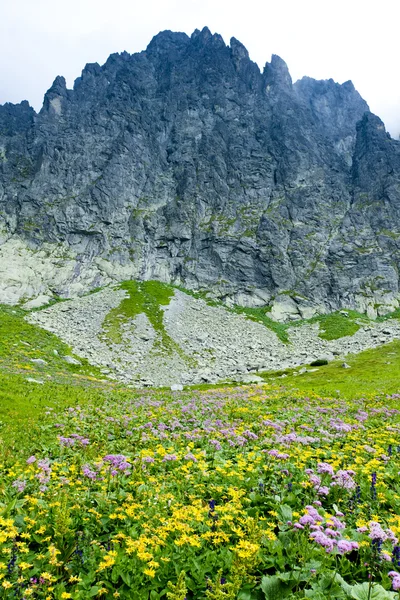 Kvetnica, Vysoke Tatry (Alti Tatra), Slovacchia — Foto Stock
