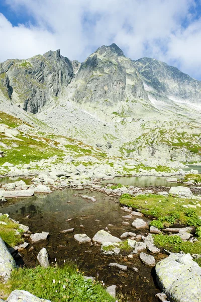 Vijf spis bergmeertjes, hoge Tatra (vysoke tatry), Slowakije — Stockfoto