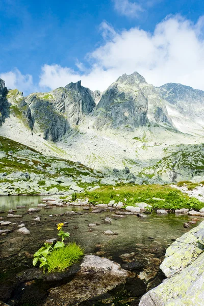 Five Spis Tarns, High Tatras (Vysoke Tatry), Slovakia — Stock Photo, Image