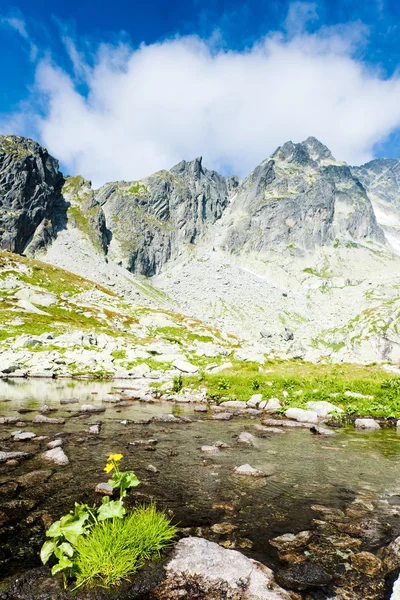 Five Spis Tarns, High Tatras (Vysoke Tatry), Slovakia — Stock Photo, Image