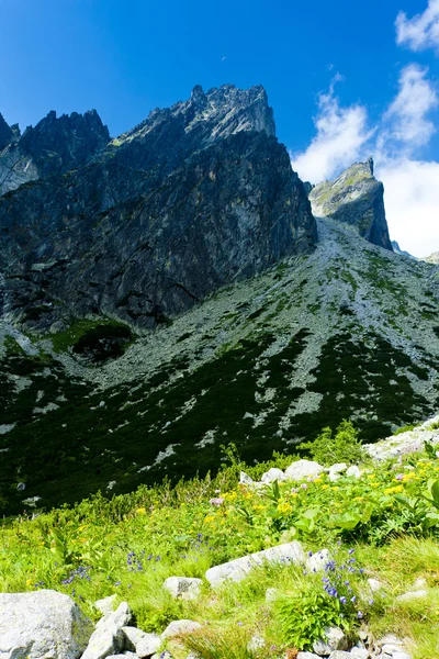 Piccola valle fredda, Vysoke Tatry (Alti Tatra), Slovacchia — Foto Stock