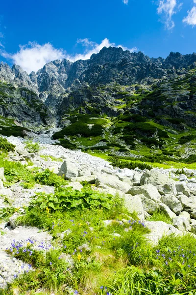 Kleines Kaltes Tal, Hohe Tatra, Slowakei — Stockfoto