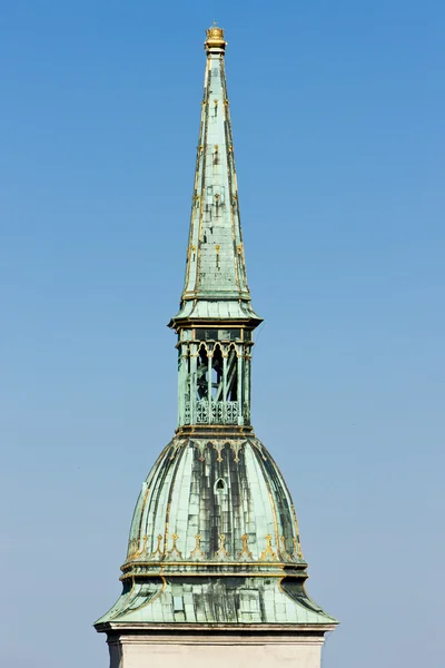 大教堂的圣马丁，拉迪斯拉发斯洛伐克的详细信息 — 图库照片