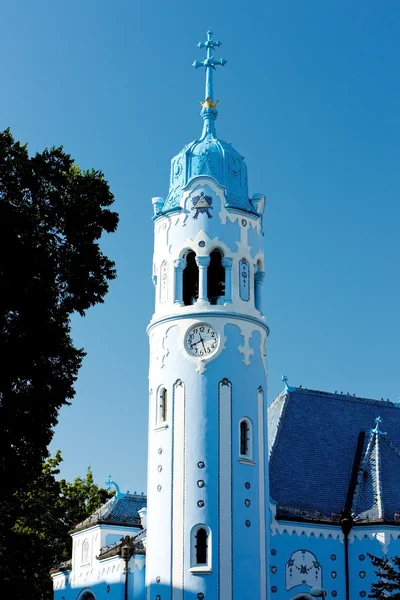 Kirche der Heiligen elizabeth ungarische genannt blaue Kirche, bratisla — Stockfoto