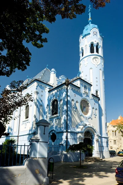 Pyhän Elisabetin kirkko Unkari nimeltään Blue Church, Bratisla — kuvapankkivalokuva