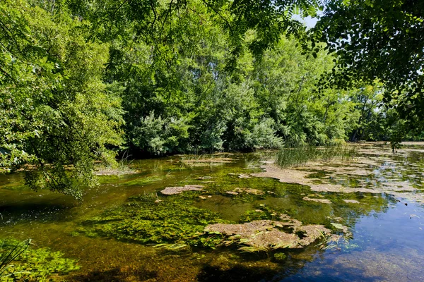 लहान डॅनूबा नदी, स्लोव्हाकिया — स्टॉक फोटो, इमेज