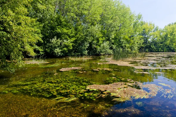 Kleine danuba rivier, Slowakije — Stockfoto