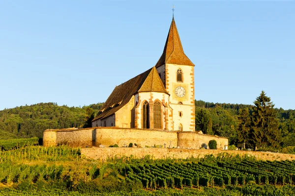 Kirche mit Weinberg, Hunawihr, Elsass, Frankreich — Stockfoto