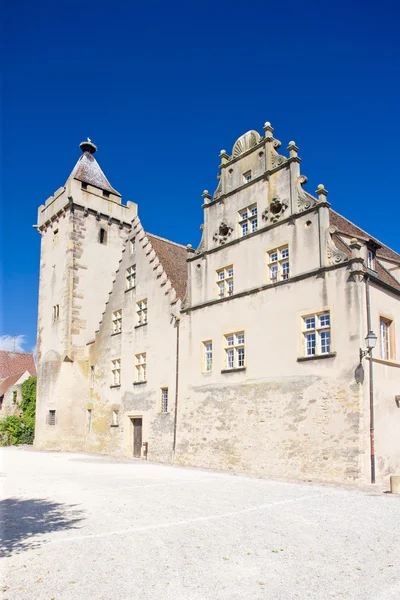 Schloss, Elsass, Frankreich — Stockfoto
