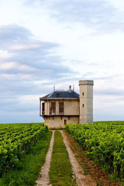 Виноградники замка Клос Блан де Воже, Бургундия, Франция — стоковое фото