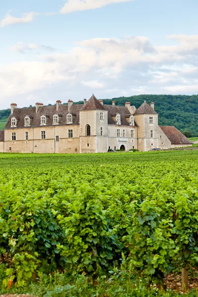 Clos blanc de vougeot 城堡、 勃艮第、 法国 — 图库照片