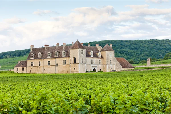 Clos Blanc De Vougeot Castle, Бургунди, Франция — стоковое фото