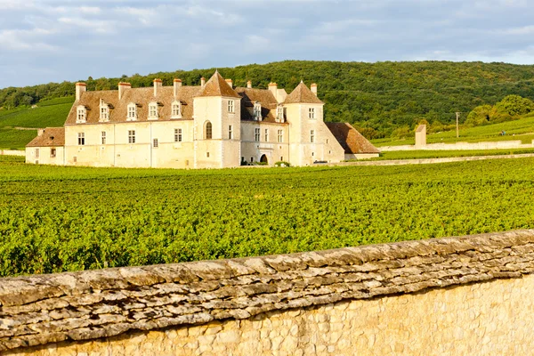 Clos Blanc De Vougeot Castle, Bourgogne, Frankrig - Stock-foto