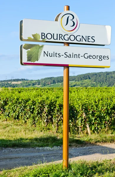 Nuits-saint-georges, Burgundsko, Francie — Stock fotografie