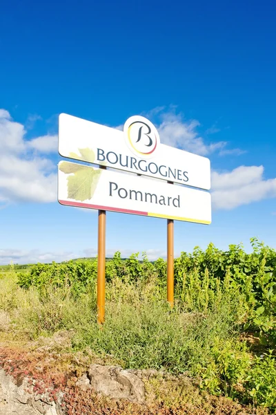 Weinberge von Pommard, Burgund, Frankreich — Stockfoto