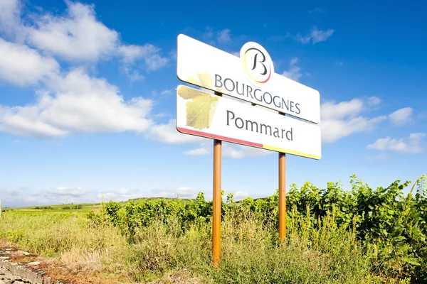 Winnice pommard, Burgundia, Francja — Zdjęcie stockowe