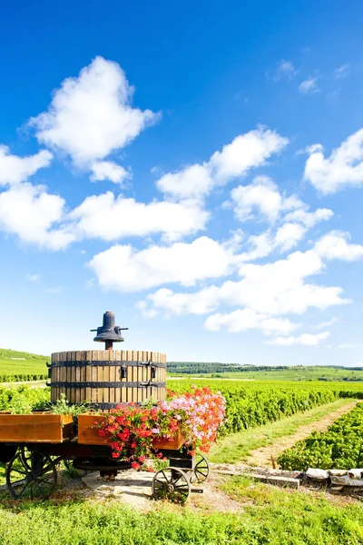 Weinberge der Cote de Beaune bei Pommard, Burgund, Frankreich — Stockfoto