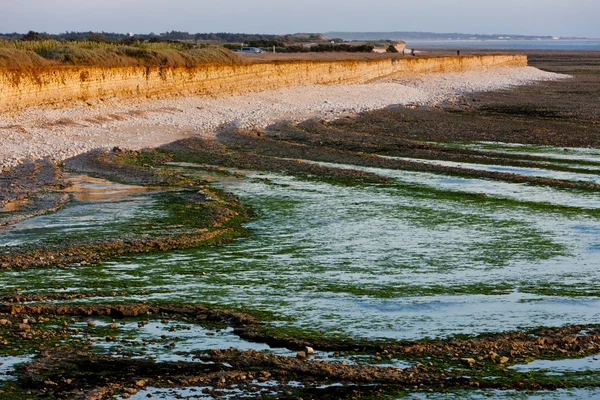 Costa de la isla de Oleron, Poitou-Charentes, Francia — Foto de Stock