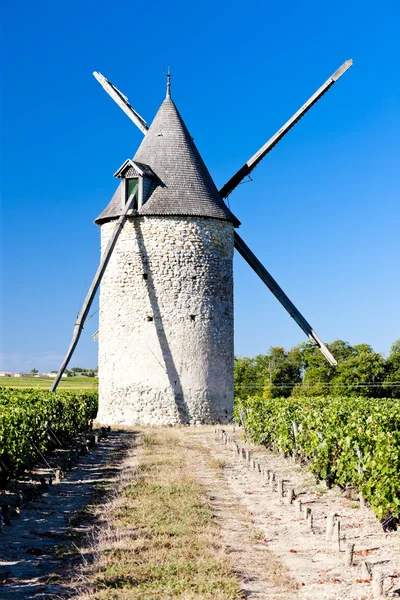风车与附近 blaignan，波尔多地区，法国的葡萄园 — 图库照片