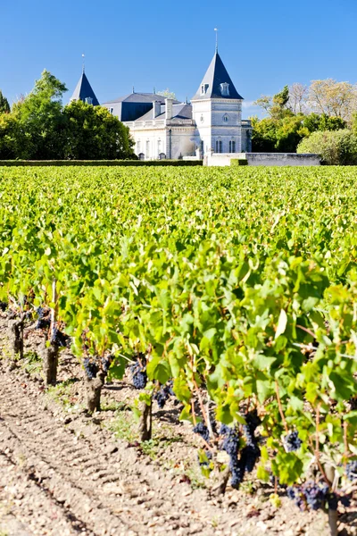 Виноградник і Chateau Tronquoy Лаланд, Сен Estephe, Бордо R — стокове фото