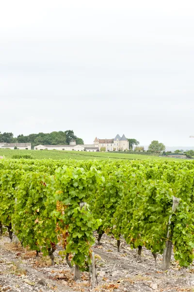 Vinhedo e Chateau d 'Yquem, Região de Sauternes, França — Fotografia de Stock