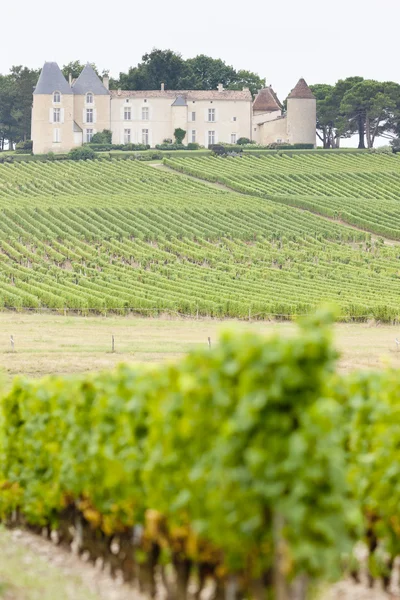 葡萄园和酒庄甘，索泰尔讷地区法国 — 图库照片