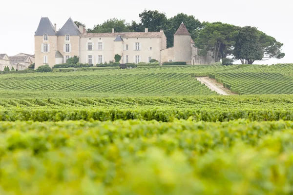 Vigneto e Chateau d'Yquem, regione di Sauternes, Francia — Foto Stock
