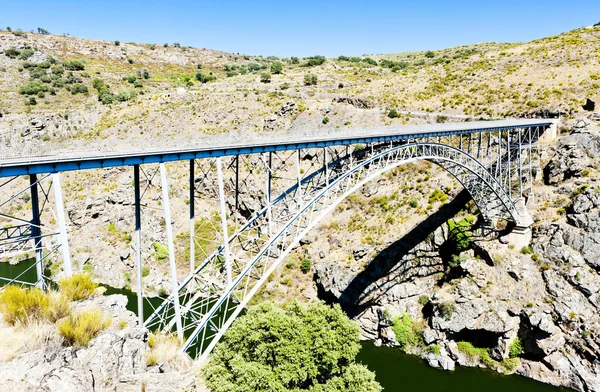 Requejo Bridge, Castile og Leon, Spania – stockfoto
