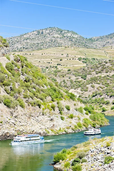 Cruiseschepen in de Dourovallei, portugal — Stockfoto