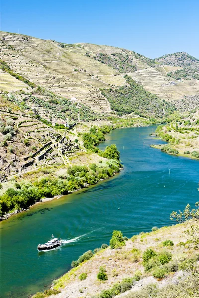 Ship in Douro Valley, Portugal — Stock Photo, Image