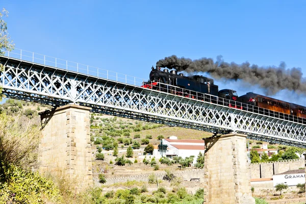 Douro 밸리, 포르투갈에서에서 증기 기차 — 스톡 사진