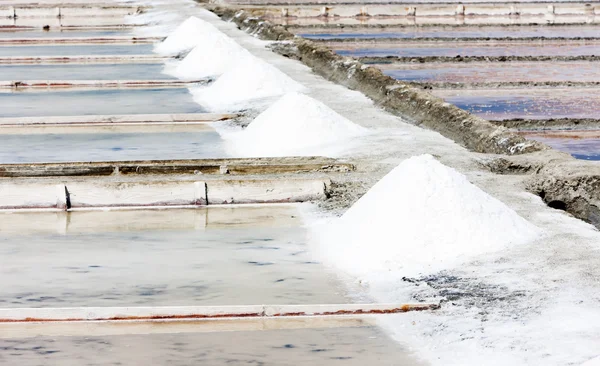 在 troncalhada，贝拉，葡萄牙生理盐水 — 图库照片