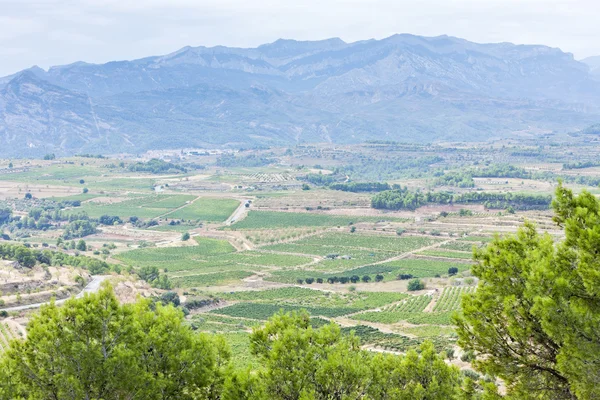 Landschaft am Coll del Moro, Katalonien, Spanien — Stockfoto
