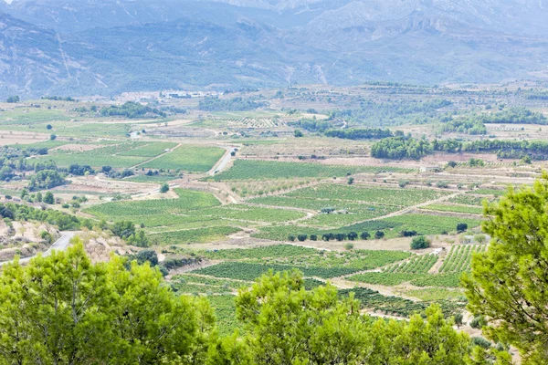 Landschaft am Coll del Moro, Katalonien, Spanien — Stockfoto